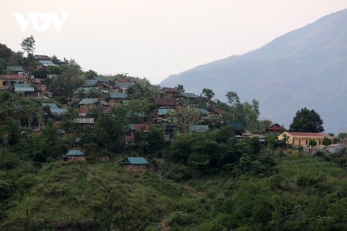 ກິ່ນ​ຫອມ​ຈາກ​ຕົ້ນ​ແຄ່, ຄວາມ​ອີ່ມ​ໜຳ​ສຳ​ລານ​ທີ່ມາ​ຈາກ​ປ່າ - ảnh 1