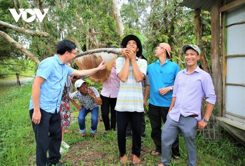 ອາ​ຊີບ​ເຮັດ​ຮັງ​ລ້ຽງ​ເຜິ້ງດ້ວຍ​ສີ​ຍົວ​ໄມ້​ຢູ່ ອູ​ມິນ​ຮະ-ແຂວງ ກ່າ​ເມົາ - ảnh 2