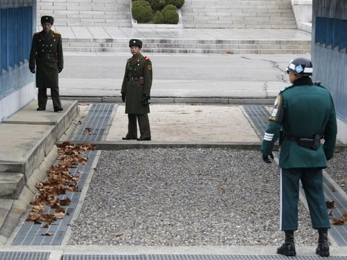 한국, 비무장지대 평화관광 추진협의회 발족 - ảnh 1