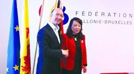 Vietnam, Belgium promote health cooperation - ảnh 1