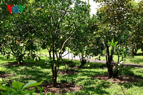 President Ho Chi Minh relic site in the Presidential Palace - ảnh 15