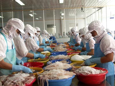 27 mil millones de dólares aportaron a Vietnam agro-silvicultura y acuicultura - ảnh 1