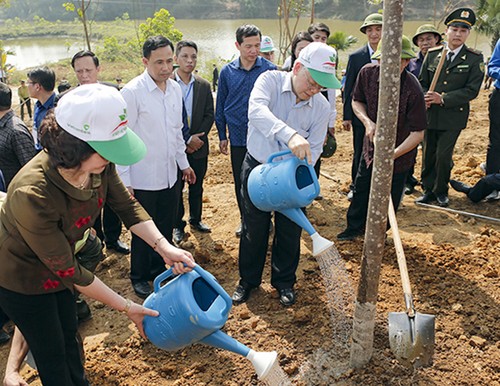 Festival de la Siembra de Árboles beneficia a Vietnam - ảnh 1