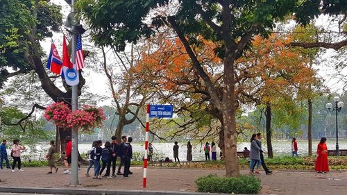 Sector turístico vietnamita listo para segunda cumbre Estados Unidos-Corea del Norte - ảnh 1