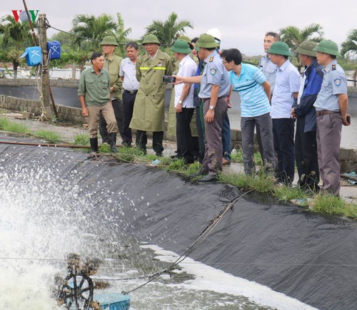 Chequean trabajos de superación de secuelas de tifón Wipha en Hai Phong - ảnh 1