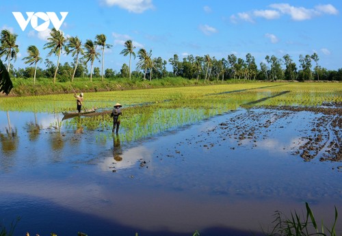 Hacia una región del delta del río Mekong próspera y sostenible - ảnh 1