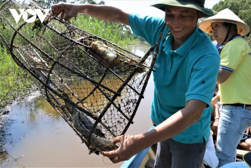 Agricultores de Ca Mau desarrollan el ecoturismo y el turismo comunitario - ảnh 2