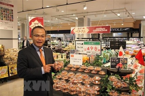 Vietnam tiene grandes potenciales para exportar sus productos agroforestales y pesqueros a Japón - ảnh 1