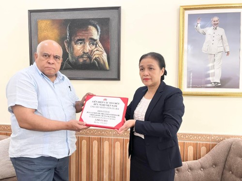 Unión de Organizaciones de Amistad de Vietnam entrega donación para apoyar al pueblo cubano - ảnh 1