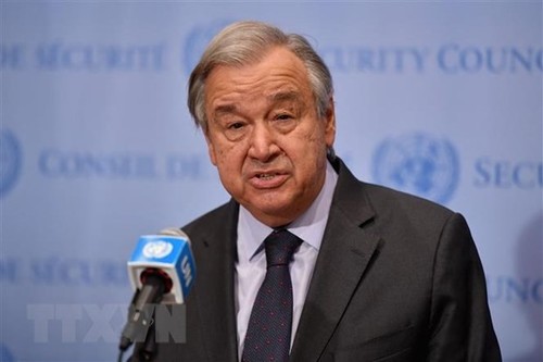 Países desarrollados responsables de gran parte de emisiones de gases de efecto invernadero, según António Guterres - ảnh 1