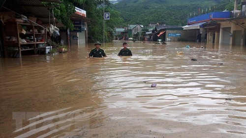 Vietnam decidido a implementar los compromisos internacionales para enfrentar el cambio climático - ảnh 1