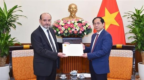 Vietnam listo para ayudar a Turquía a superar daños del terremoto, afirma canciller - ảnh 1