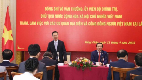 Presidente de Vietnam se reúne con la comunidad connacional en Laos - ảnh 1