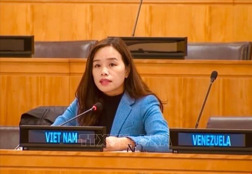 Vietnam trabaja con ASEAN para promover una solución pacífica y sostenible para Myanmar - ảnh 1