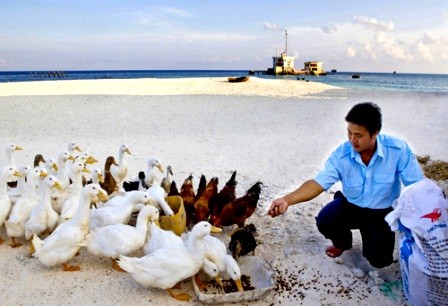 Mini-modelos agrícolas en islas de Truong Sa - ảnh 3