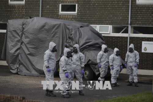 Skripal-Fall: Russland zweifelt an die Schlussfolgerung von OPCW - ảnh 1