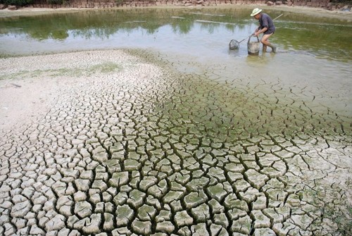 Climat: le Vietnam œuvre avec la communauté internationale - ảnh 1