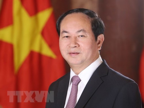 Le président Trân Dai Quang répond à la presse égyptienne - ảnh 1