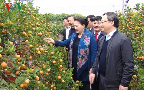 Nguyên Thi Kim Ngân en visite dans la province de Hung Yên  - ảnh 1