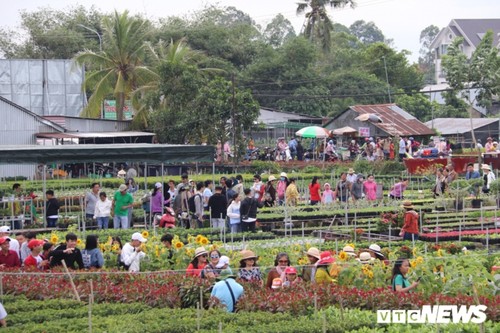 Les villages horticoles à l’approche du Têt - ảnh 2