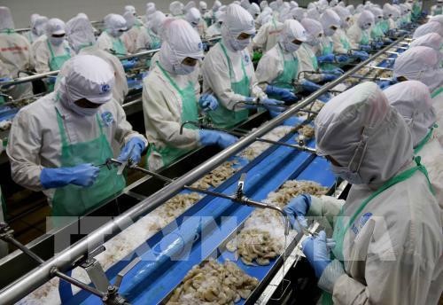 Le Vietnam cible 10 milliards de dollars d’exportations de produits aquatiques en 2019 - ảnh 2