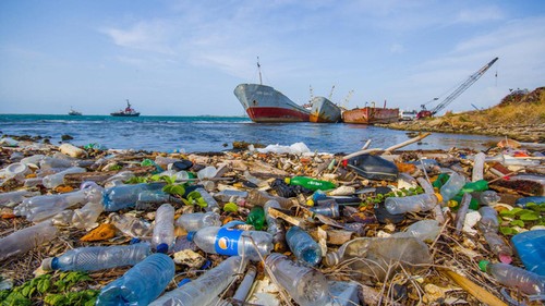 Journée mondiale de la Terre célébrée à Hanoi - ảnh 1