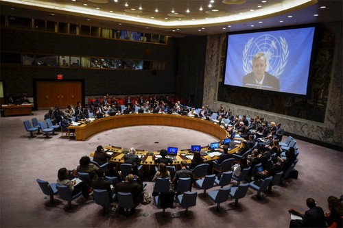 Le Vietnam, membre non permanent du Conseil de sécurité de l’ONU - ảnh 1