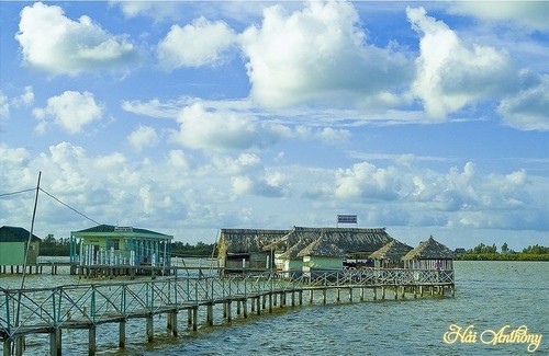 Le marais de Thi Tuong - ảnh 1