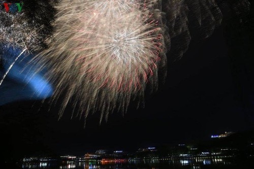 Le Nouvel an lunaire du Rat fêté dans l’ensemble du pays - ảnh 1