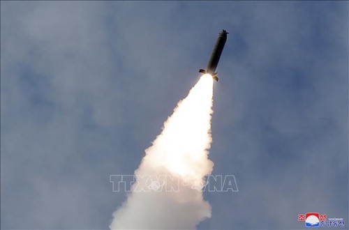 Pyongyang lance un projectile non identifié - ảnh 1