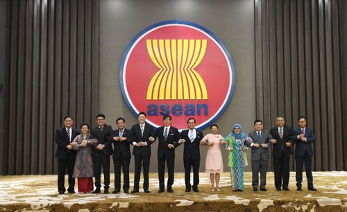 14e réunion du Comité mixte de coopération ASEAN-Japon  - ảnh 1