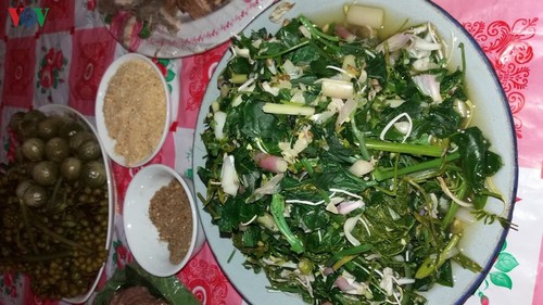 La bauhinie, une fleur typique du Nord-Ouest - ảnh 3