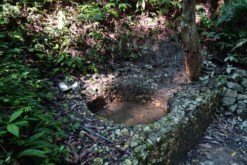 La forêt de Trân Hung Dao, berceau de l’Armée populaire du Vietnam - ảnh 3