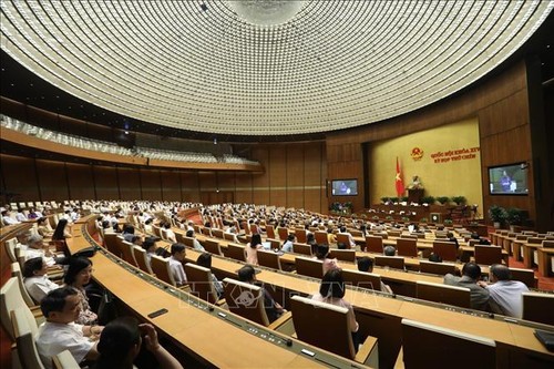 La loi sur l’investissement modifiée adoptée à l’Assemblée nationale - ảnh 1