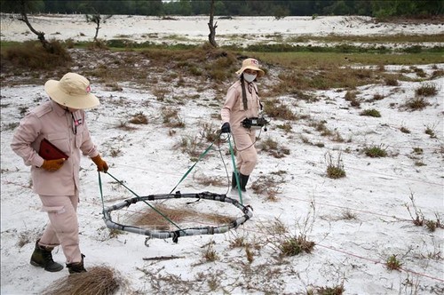 Quang Tri: déminage de près de 97 millions de mètres carrés de terrain - ảnh 1