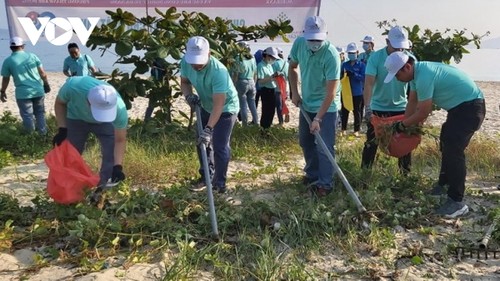 Danang: plus de 100 membres de la jeunesse communiste assainissent l’environnement maritime - ảnh 1