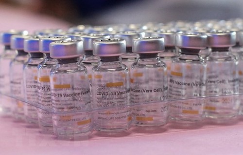 Covid-19: l’OMS accorde son homologation d’urgence au vaccin chinois Sinovac - ảnh 1