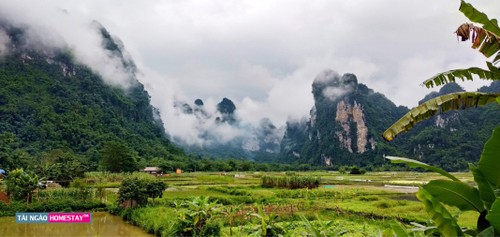 Quand les jeunes Tày se mettent au tourisme communautaire - ảnh 1