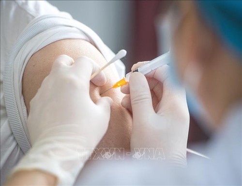 Covid-19: l’OMC promeut la distribution de vaccins dans les pays en développement - ảnh 1