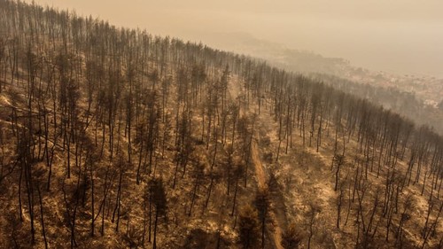 Incendies en Grèce: pompiers et habitants continuent leur lutte contre les flammes - ảnh 1