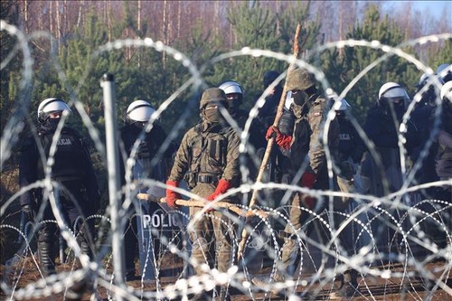 Migrants à la frontière de la Pologne: réunion d’urgence du Conseil de sécurité de l’ONU ce jeudi - ảnh 1