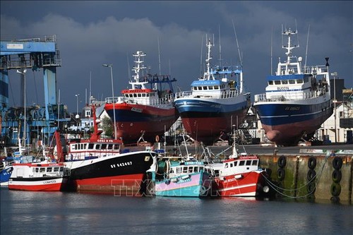 Pêche post-Brexit: l’Union européenne demande à Londres de régler le litige d’ici au 10 décembre - ảnh 1