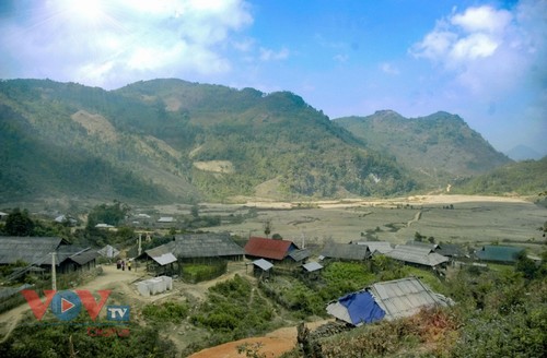 Le printemps arrive chez les Xa Phang de Diên Biên - ảnh 1