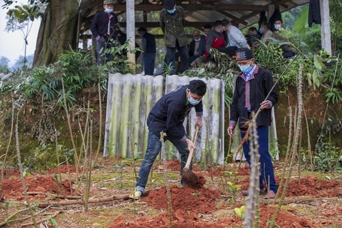 Le culte du génie de la forêt des Dao rouges - ảnh 2