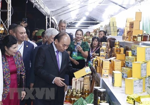 Nguyên Xuân Phuc veut revaloriser le ginseng vietnamien - ảnh 1