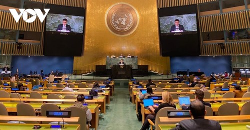 Le Vietnam soutient la réforme du Conseil de sécurité de l’ONU - ảnh 1