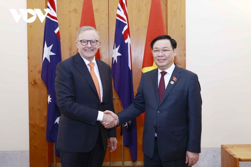 Vuong Dinh Huê rencontre Anthony Albanese - ảnh 1