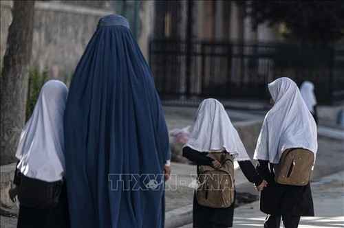 Le Conseil de sécurité de l'ONU réitère l'appel à la participation égale des femmes en Afghanistan - ảnh 1