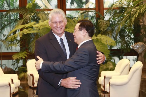 Vuong Dinh Huê reçu par Raul Castro Ruz et Miguel Diaz-Canel - ảnh 2