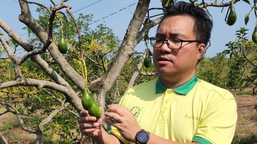 Dang Duong Minh Hoàng, un jeune entrepreneur pionnier dans la transition numérique - ảnh 1